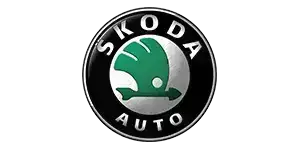 Логотип світової компанії SKODA AUTO - Дядя Жора Company
